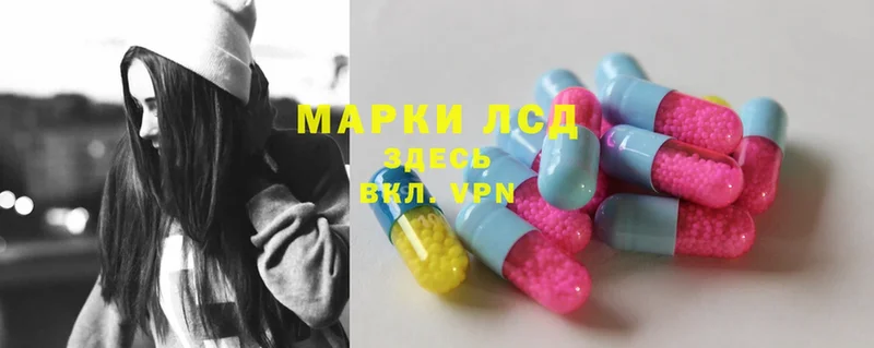 LSD-25 экстази ecstasy  купить наркотики цена  Карачев 